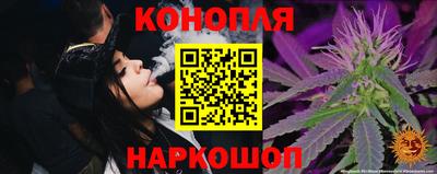 МДПВ Будённовск