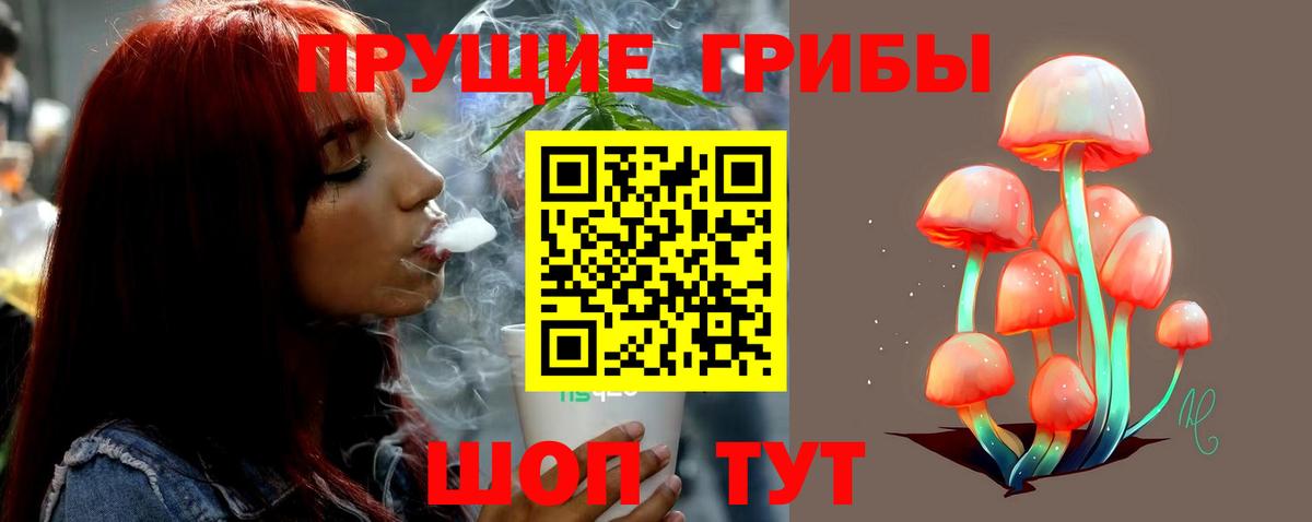Псилоцибиновые грибы Magic Shrooms Северобайкальск